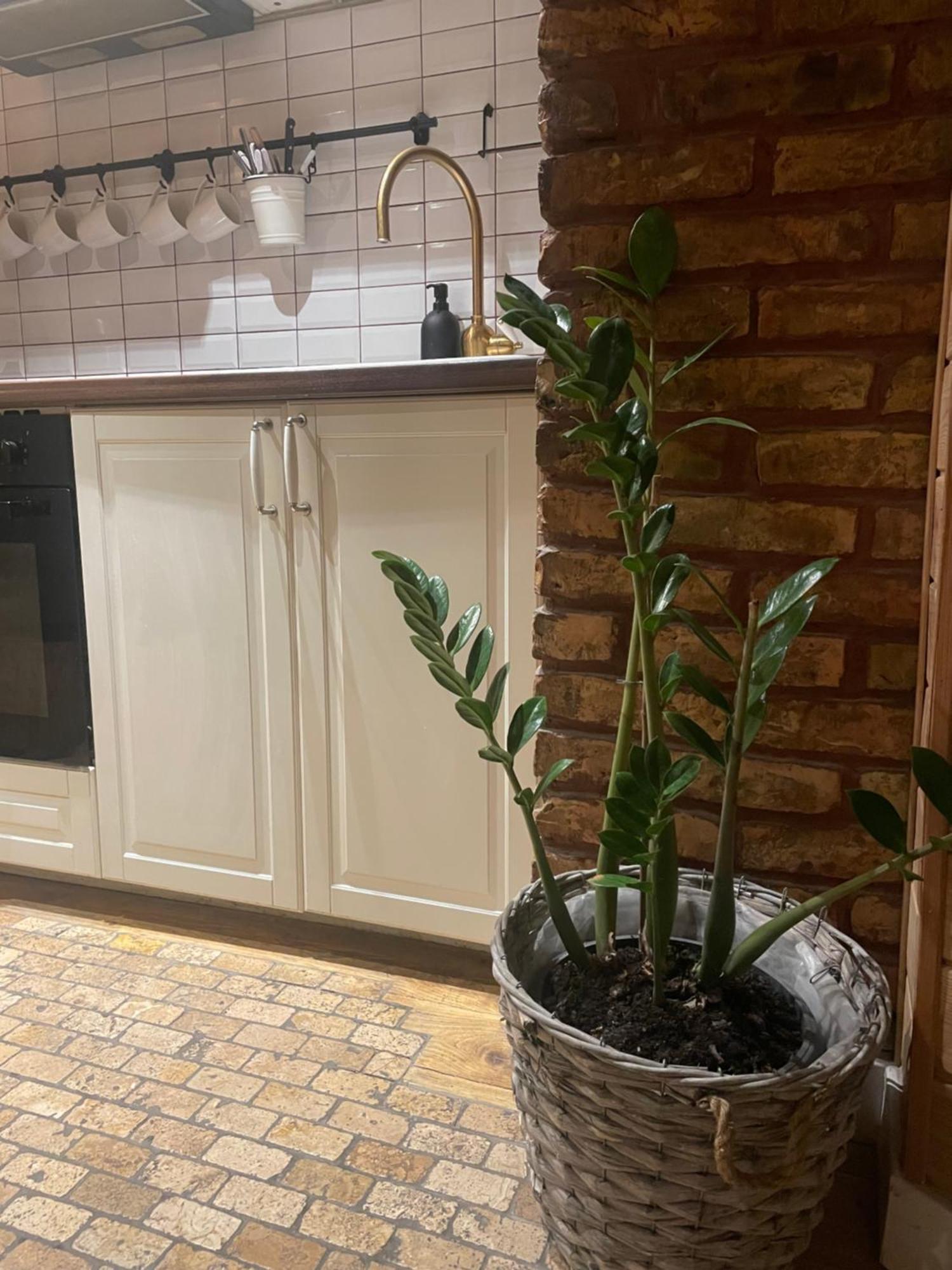 Stebuklas Coliving Appartement Vilnius